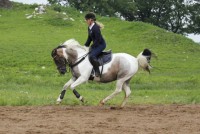 /album/galleri/kira-galopp-jpg1/